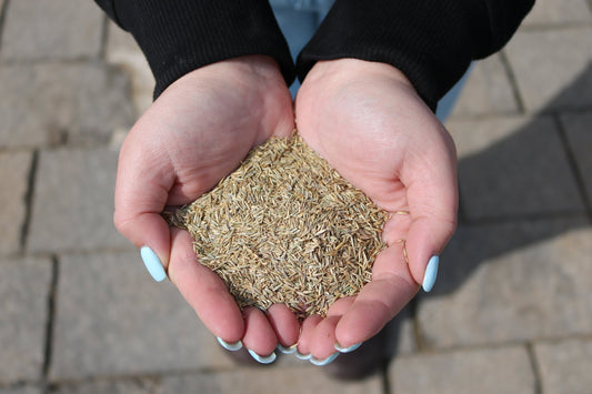 Natural Weed Control with a Thicker, Healthier Lawn