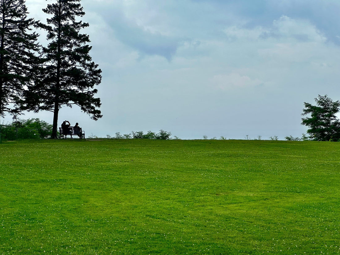 Quick‑Release vs Slow‑Release Fertilizer: Fast Results, Steady Growth, and Less Stress